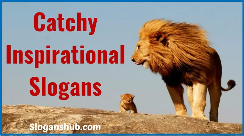 115 Catchy Motivational Slogans & Sayings
