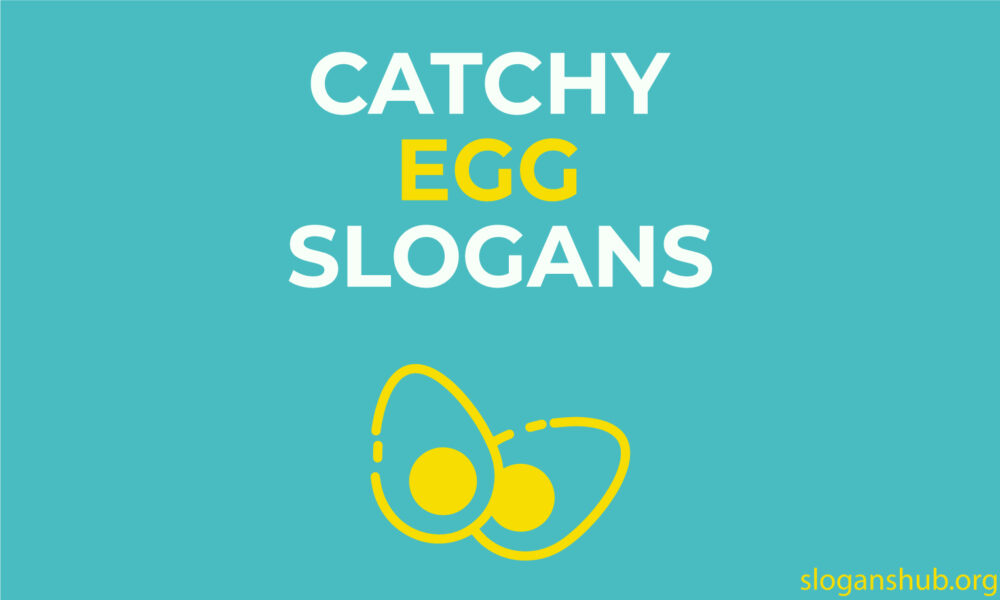 Catchy Egg Slogans World Egg Day Slogans