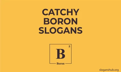 Catchy-Boron-Slogans