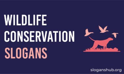 wildlife conservation slogans