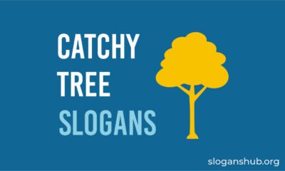 Best Save Tree Slogans