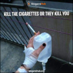 300 Catchy No Smoking Slogans & Best Anti-Smoking Slogans