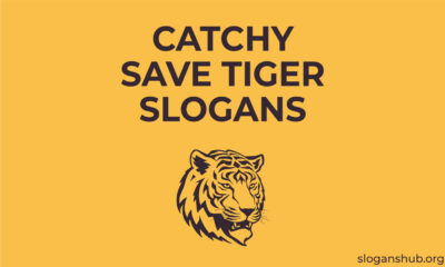 Catchy-Save-Tiger-Slogans