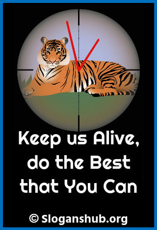Save Animal Slogans