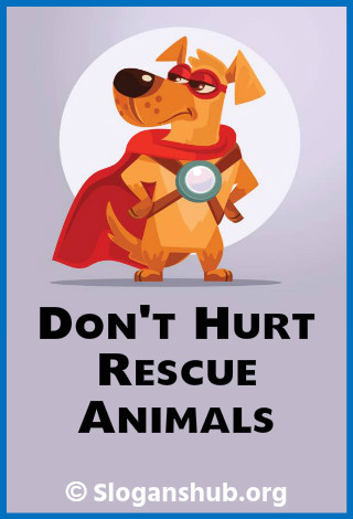 Save Animal Slogans. Dont hurt, rescue animals