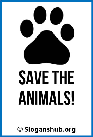 Save Animal Slogans. Save the animals!
