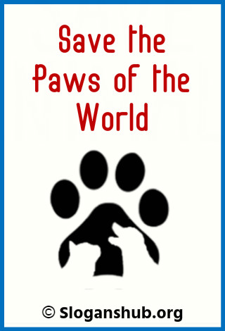 Save Animal Slogans. Save the paws of the world