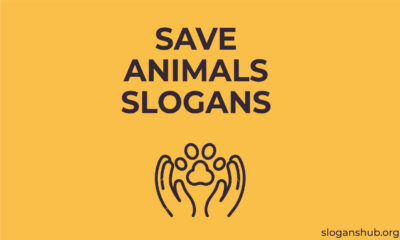 Save-Animals-Slogans