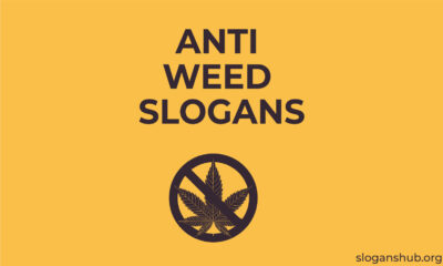 Weed-Slogans