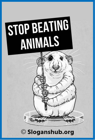 97 Creative Animal Abuse Slogans And Sayings