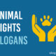 Animal Rights Slogans