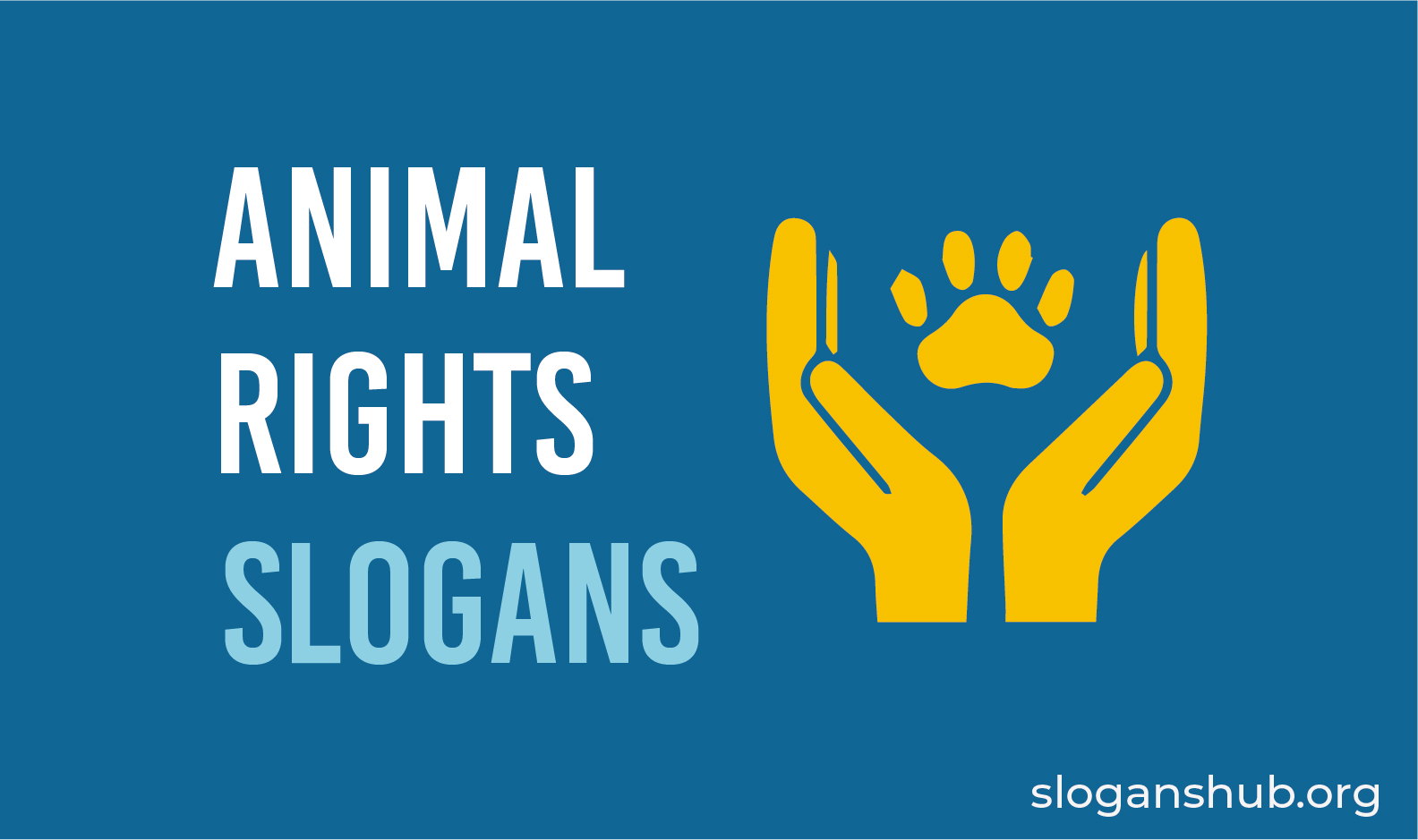 50 Catchy Animal Rights Slogans And Sayings