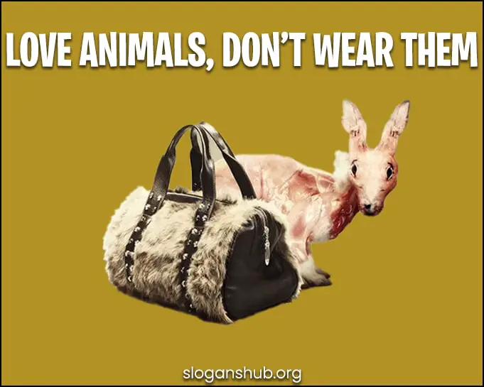 Anti-Fur-Slogans