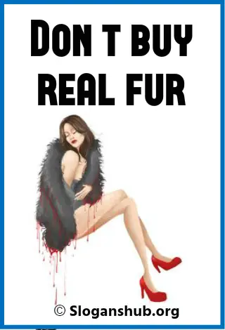 Anti Fur Slogans. Dont buy real fur