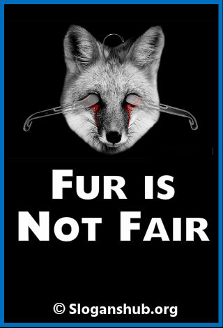 Anti Fur Slogans. Fur is not fair