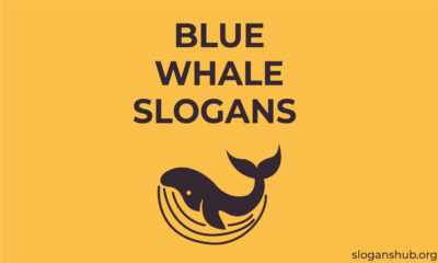 Blue-Whale-Slogans