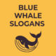 Blue-Whale-Slogans