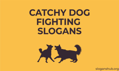 Catchy-Dog-Fighting-Slogans