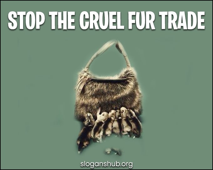 Fur Company Slogans