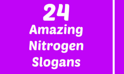 Nitrogen Slogans