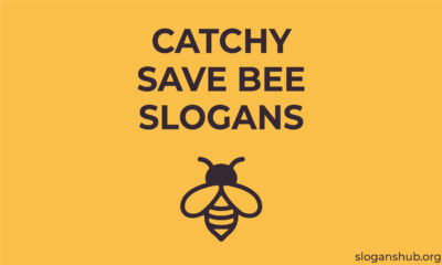 bee-slogans