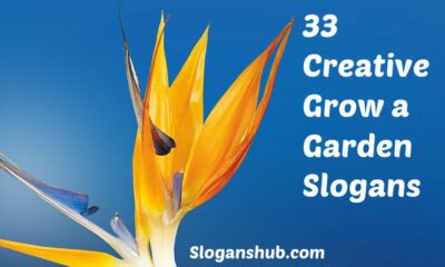 Grow a Garden Slogans