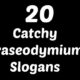 Praseodymium Slogans