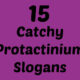 Protactinium Slogans