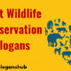 Wildlife Conservation Slogans