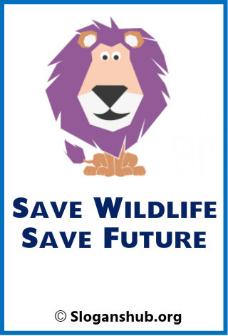 67 Best Wildlife Conservation Slogans & Sayings