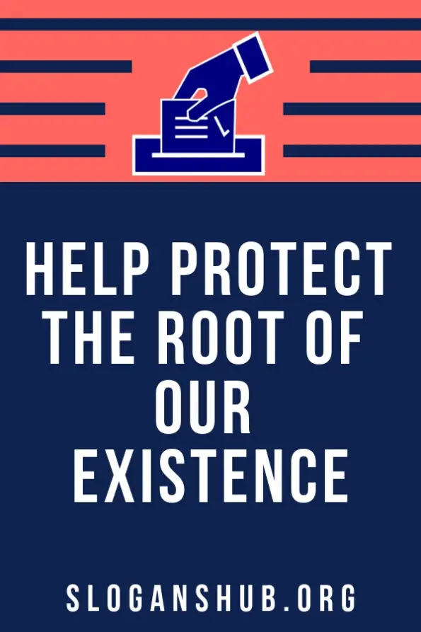 999 Catchy School Campaign Slogans Ideas, Short & Funny