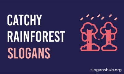 rain forest slogans