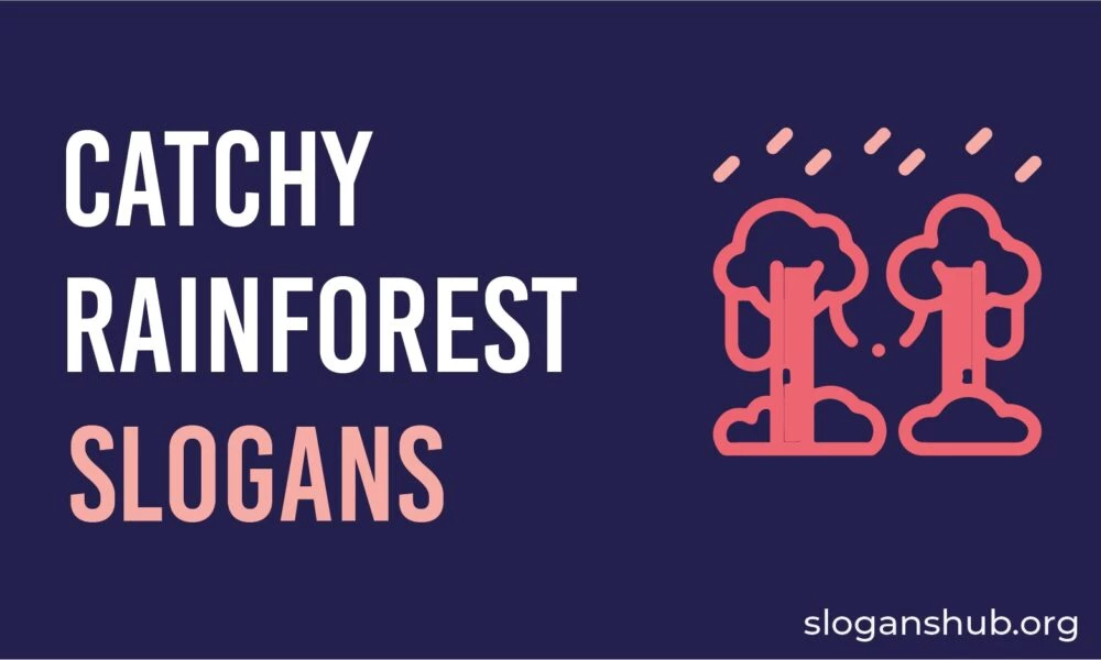 17 Catchy Save the Rainforest Slogans With Pictures