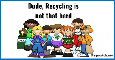 70 Beste Recycle Slogans und Sprüche mit Bildern Datakosine