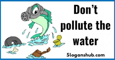 100 Helpful Slogans On Water Pollution With Posters