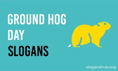 groud hog slogans