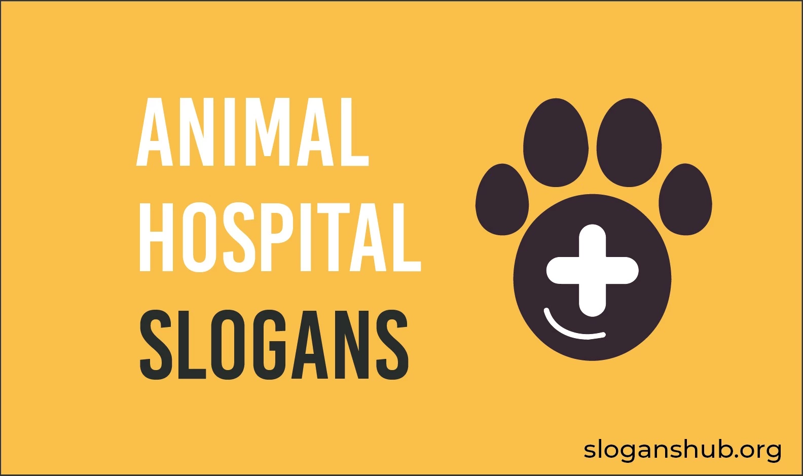 47-catchy-animal-hospital-slogans-veterinary-slogans