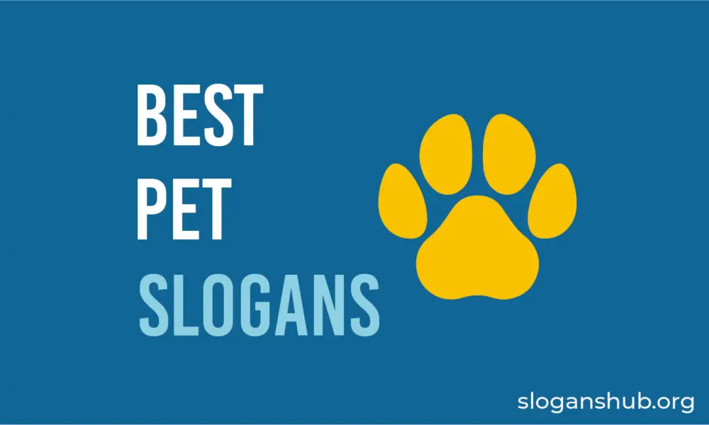 List of Best Pet Slogans You'll Love