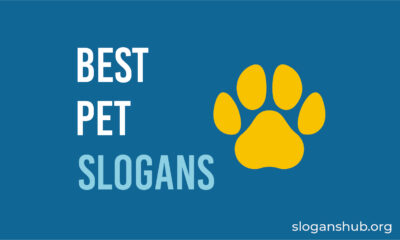 Best Pet Slogans
