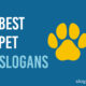 Best Pet Slogans