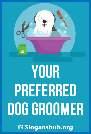Dog Grooming Slogans 2