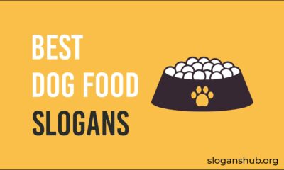 best dogfood slogans
