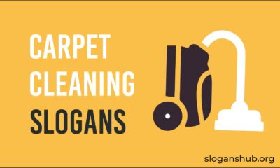 carpet cleaning slogans
