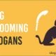 dog grooming slogans