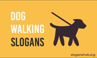 dog walking slogans