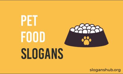 pet food slogans