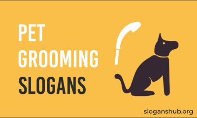 pet grooming slogans