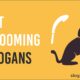 pet grooming slogans