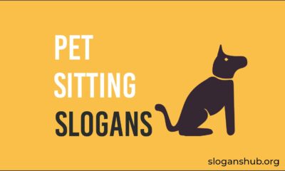 pet sitting slogans