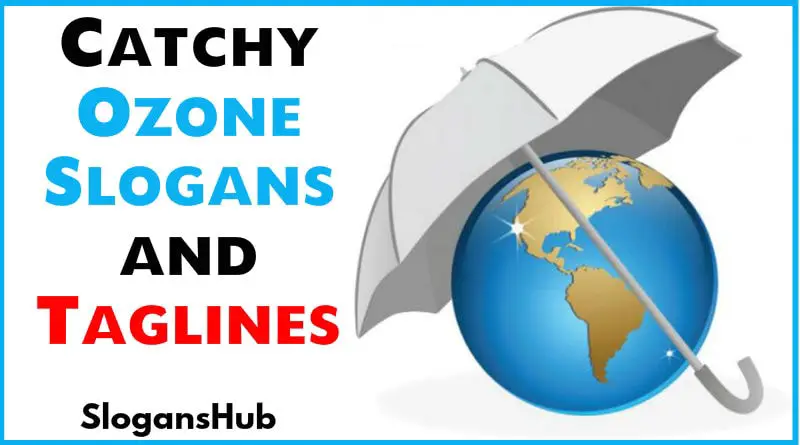 Largest Slogans Database On The Internet Slogans Hub